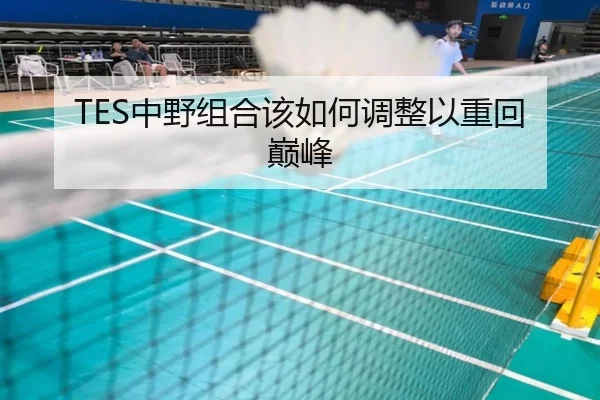 TES中野组合该如何调整以重回巅峰