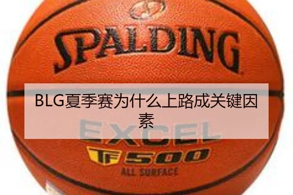 img_1781302879643_321_1_503.jpg